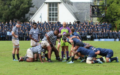 Looking for that rugby pic?